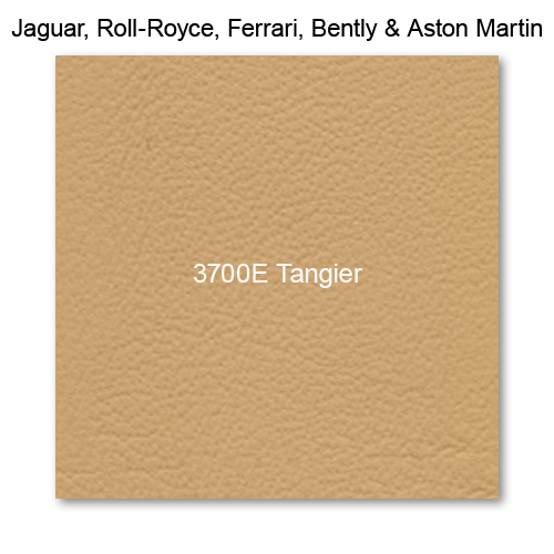 Salerno Leather, 3700E Tangier 