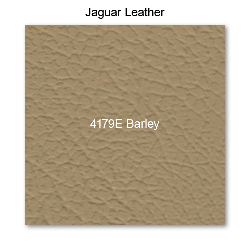 Salerno Leather, 4179E Barley 