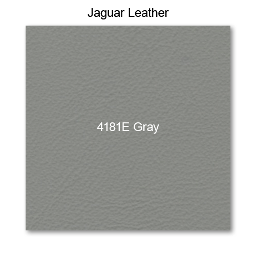 Salerno Leather, 4181E Gray 