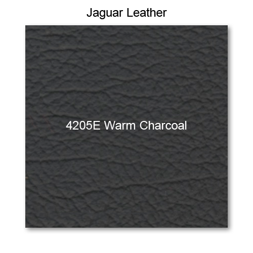 Salerno Leather, 4205E Warm Charcoal 