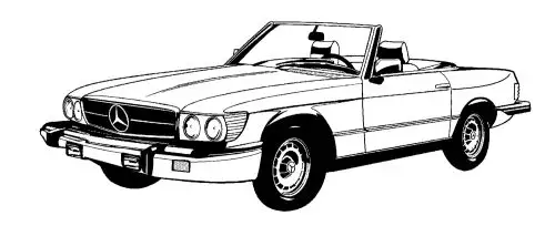 Mercedes 107 1976-1979, Panel Door, Leather, 263 Tobacco, Rosette Insrt